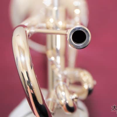 Brasspire Unicorn BPTR-901HS (Brand New) B♭ Trumpet image 3