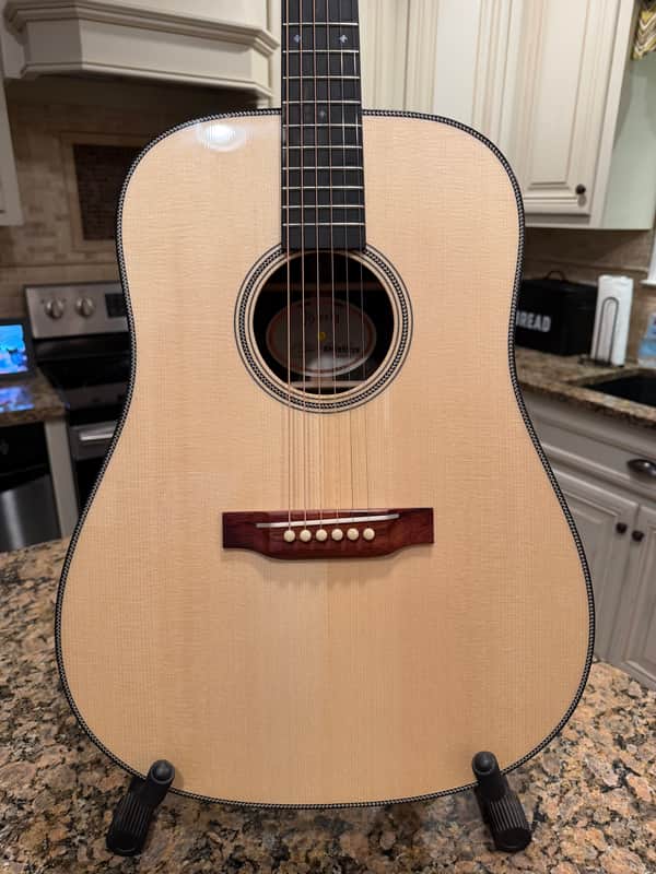Hsienmo Custom Dreadnought German Spruce Ziricote image 1