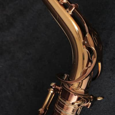 Cannonball Cannonball Alto AV-PC-L Pete Christlieb Model Alto Saxophone [V1508030] [11/12] image 10
