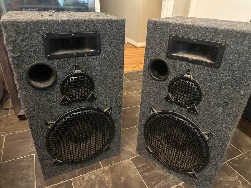 Acoustic USA NWX-1244 8 Ohm 300 Watt Floor Speakers image 1