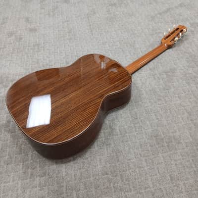 2024 Shelley D Park Rare Non-Cutaway Gypsy Jazz w/ Structured Gig Bag image 2