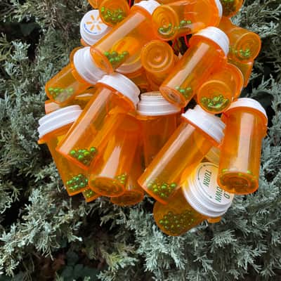 Upcycled Percussion - Extra Large Pill Bottle Waterfall Rattle / Shaker with SHAKER BOTTLES image 4