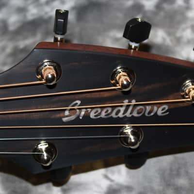 2023 Breedlove - Premier Concert - Edgeburst image 4