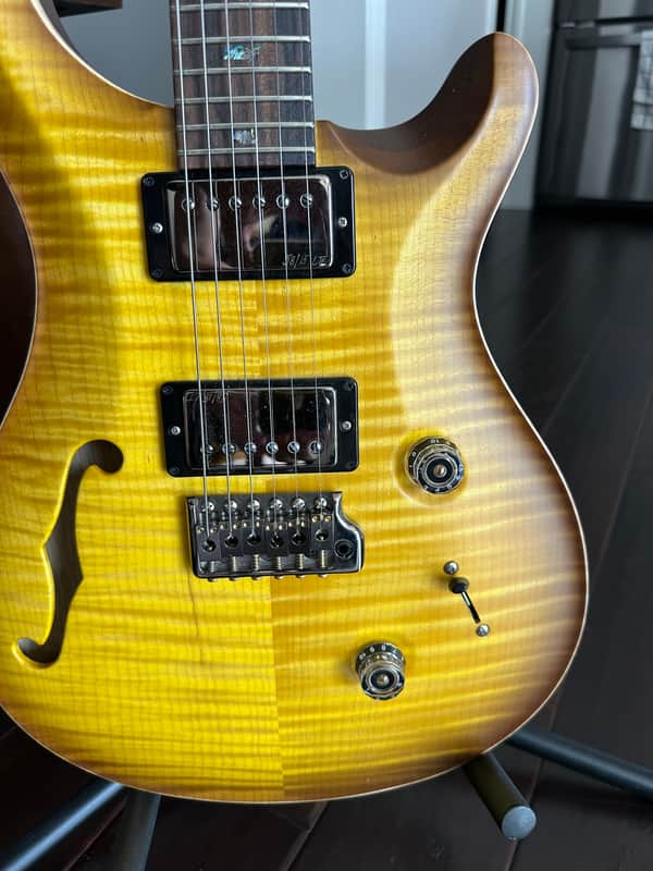 PRS Custom 24 Semi-Hollow Wood Library image 1