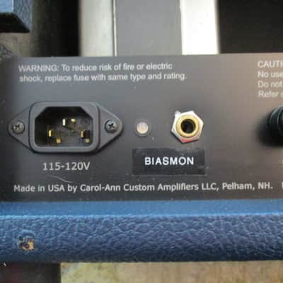 Carol Ann Triptik 50W - Signed NY Amp show Prototype image 7