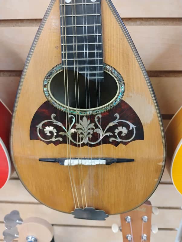Vega Bowlback mandolin early 1900's image 1
