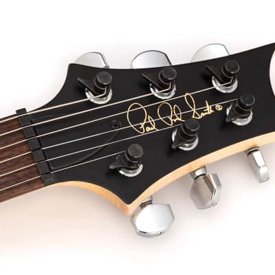 PRS USA Classic Electric CE22 Birds - Sunburst image 21