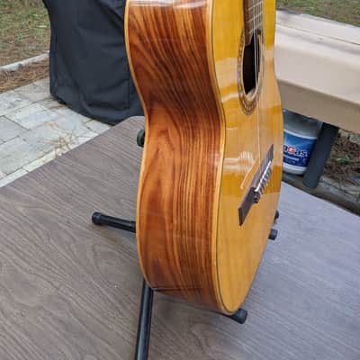 Vintage Giannini GN70  Classical/ Nylon  Electric  guitar image 3