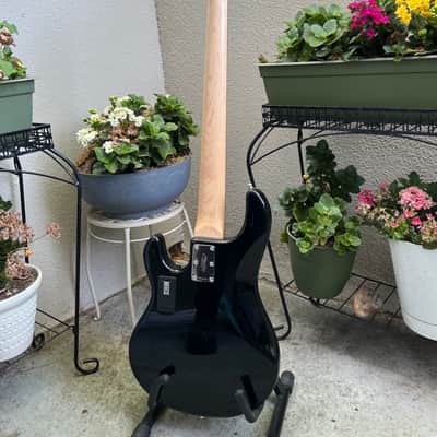 Sterling StingRay Ray35 with Roasted Maple Neck 2018 - 2023 - Black image 10