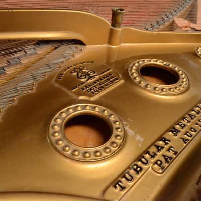 1906 Steinway B7 Classic 7' Grand Piano from Sunset Sound Factory #29919 image 20