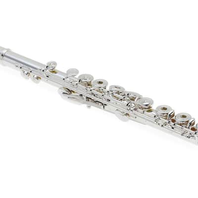 Wm. S. Haynes AF580SE-CO Amadeus Intermediate Flute with Offset G Key  C Footjoint  and Split E Mechanism image 1