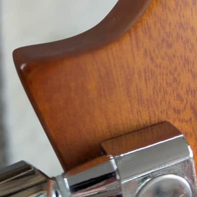 Tagima Model TW30AEQ Dreadnought Cutaway Electric/Acoustic guitar -B stock image 10