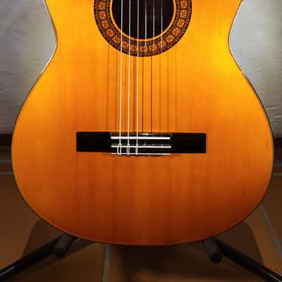 Kasuga G-312 image 3