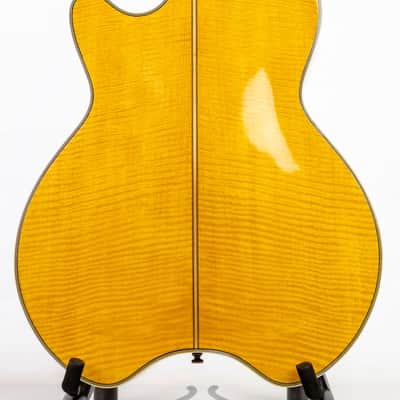Daion The Year Series '81 Caribou - Tinted Tan (TAN) - Electric Acoustic Six String image 9