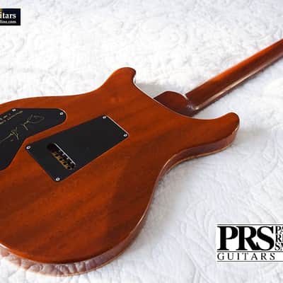 2010 PRS Wood Library DGT DGT 2010 - Copperhead 1 Piece Top image 2