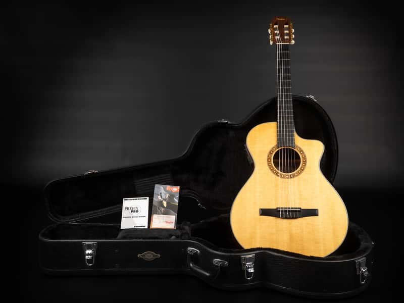 Taylor NS32ce