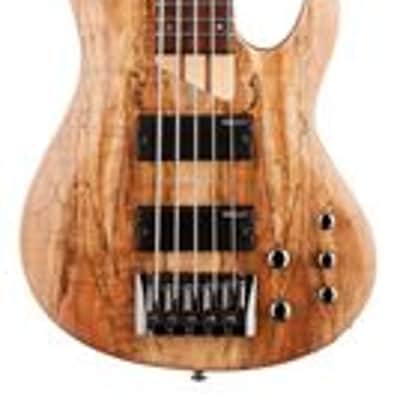 ESP LTD B205SM 5-String Electric Bass Guitar Natural Satin image 1
