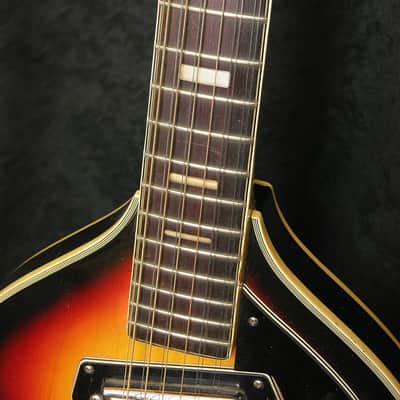 Royal Artist Bruno 1960's Sunburst 12 string image 8