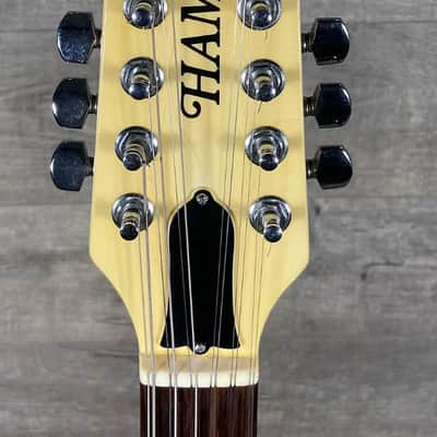 Hamer 12-String Prototype 1983 - Ice Pearl image 11