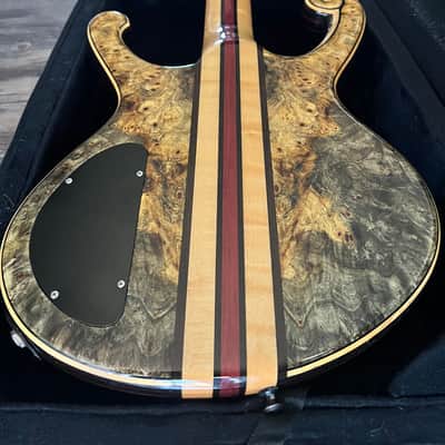 Michael Dolan Custom 5 String Bass Guitar 2008 - Natural wood Gloss finish image 6