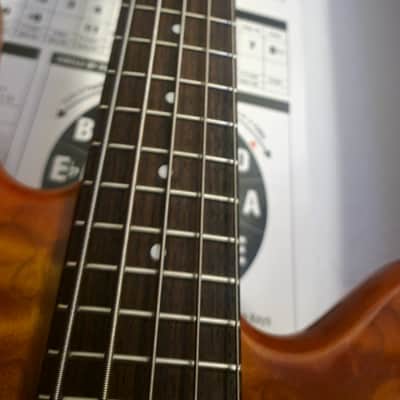 Immagine Spector Q5 Pro 5 String Emghz 35" scale
W/ tan Ibanez Power Pad (Soft Case) - 16