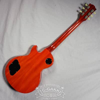 2000's EDWARDS E-LPS image 5