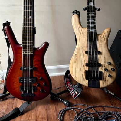 2025 Spector NS-2 - USA Custom Build - EMG J/J + 18V HAZ - Full Specs in Description image 14