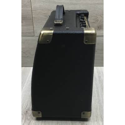 Peavey Ecoustic e20 image 5