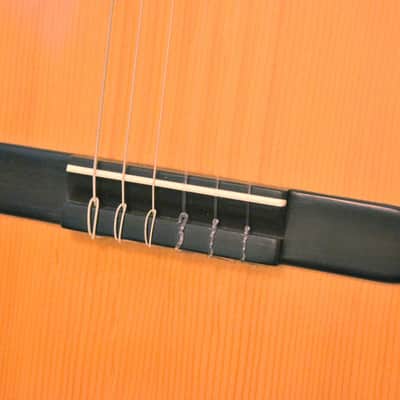 Martin 00-28C Nylon 1968 image 15