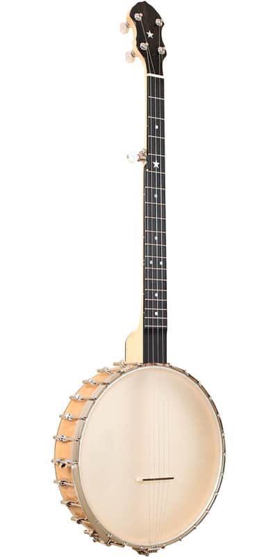 Gold Tone BC-350 Bob Carlin Banjo w/case image 1