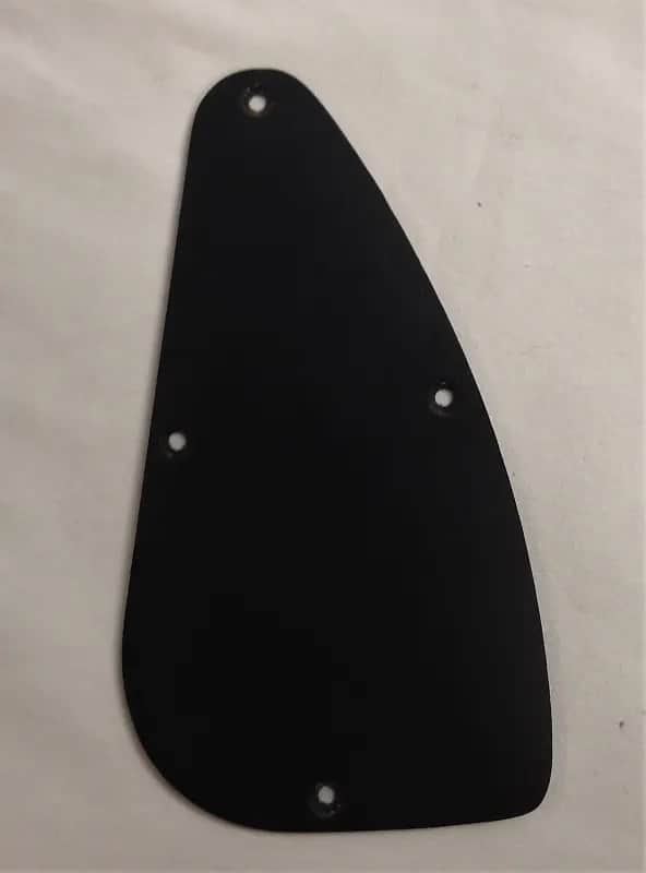 Guitar Electronics Backplate image 1