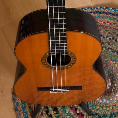 Esteve Octave Bass Guitar (PS75) image 6
