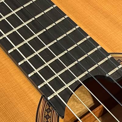 2000 Michael Gee Acoustic Flamenco Guitar - Professional Grade with Case image 15