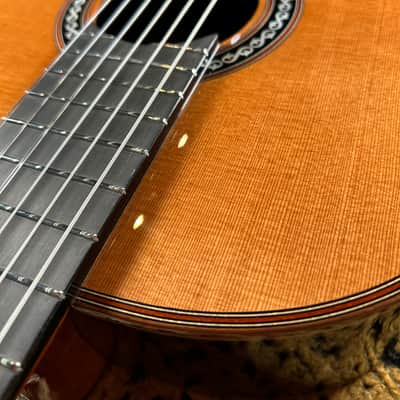 Cordoba C10-CD Cedar Classical Guitar 2025 - Natural image 6