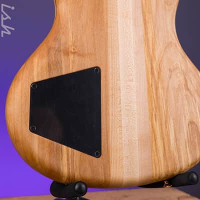 Immagine Spector USA SB-1 Reissue Limited Edition Rainbow Alder - 10