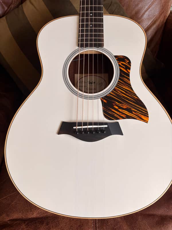 Taylor GS Mini-e Special Edition