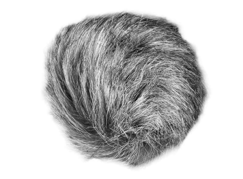 Zoom WSU-1 Universal Windscreen image 1