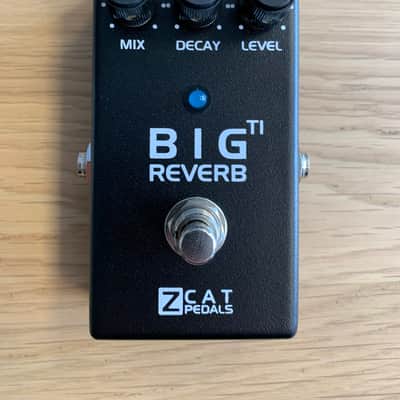 ZCAT Big Reverb TI image 2