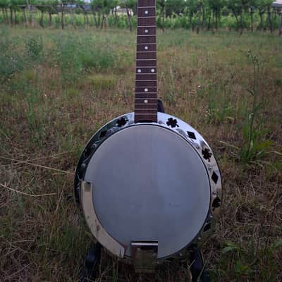 Hoyer 6-String Guitar Banjo (Banjitar) 1970s image 2