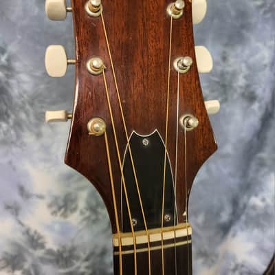 Vintage 1975 Epiphone FT-120 Japan Norlin Pro Setup New Strings Soft Shell Case image 9