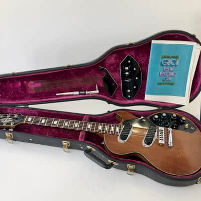Gibson Les Paul Recording 1973 Walnut image 22