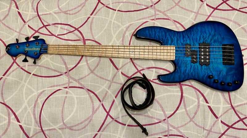 Wood & Tronics EJ Left-Handed 5 String image 1