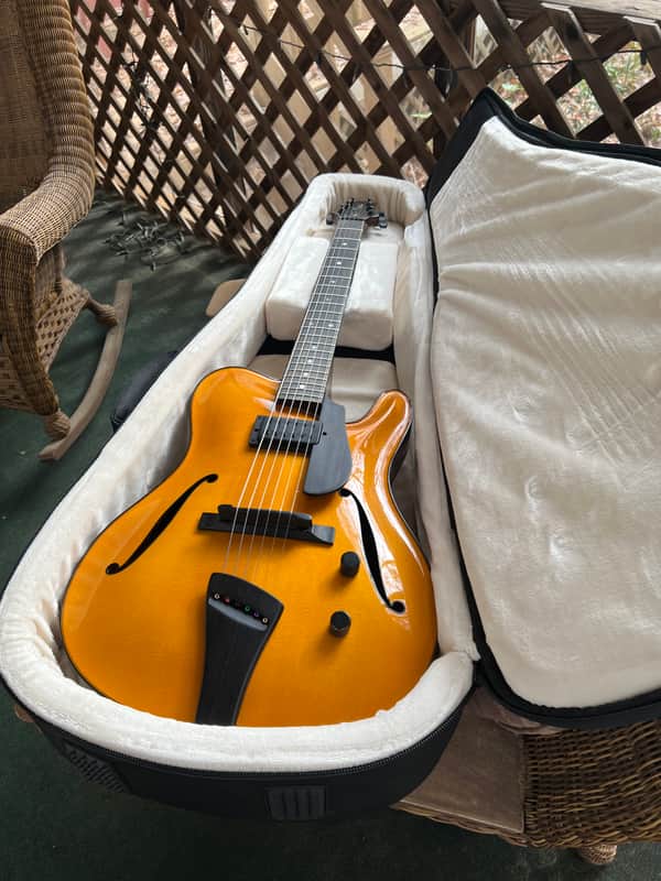 Tim Bram Tribute thinline archtop custom built image 1
