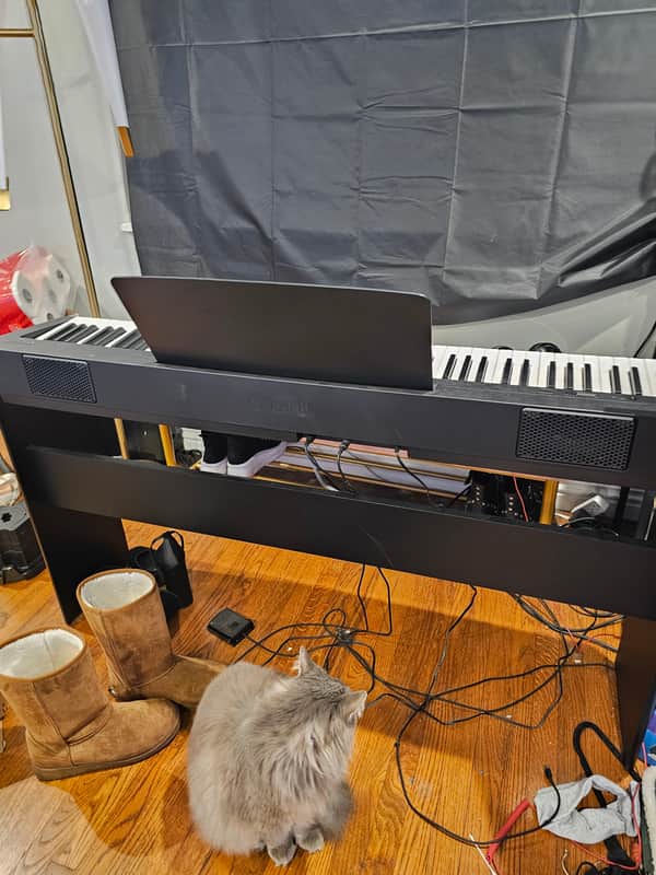 Yamaha P-143B 88-Key Digital Piano 2023 - Present - Black image 1