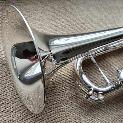 D. Calicchio DT-S1s/3M Dave TRIGG Model | Gamonbrass trumpet image 15