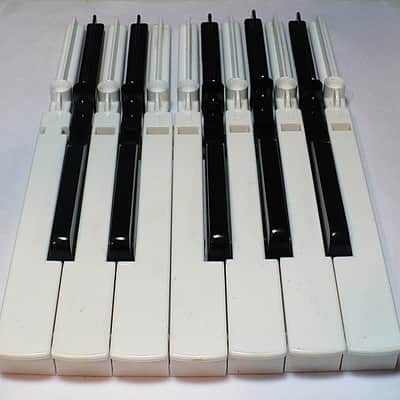 Magnus / Lot of 12 Magnus Chord Organ Replacement Keys image 1