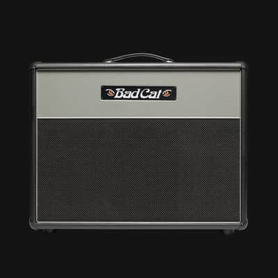 Bad Cat Era 30 Handwired 112 Extention Cabinet - Gray image 1