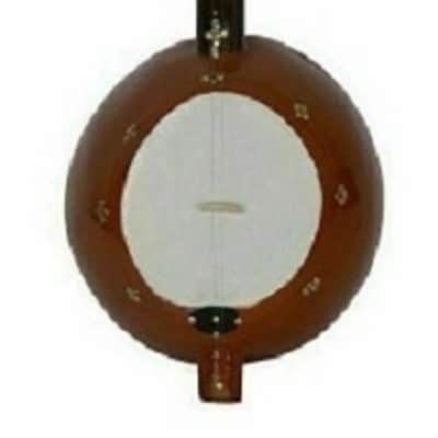 Meera Bai Ek Tara Folk Musical High Pitched Lively Sound Double String Instrument image 5