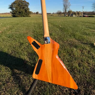 Peavey Rotor EXP Natural Wood - Explorer Body shape image 4