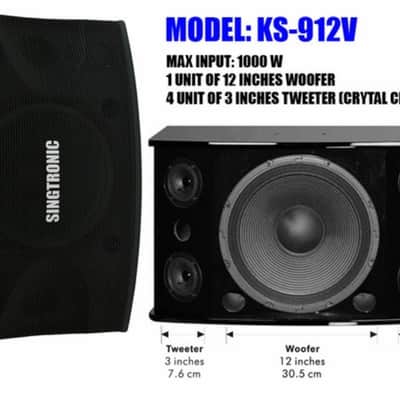 SINGTRONIC PROFESSIONAL 2000 WATTS COMPLETE KARAOKE SYSTEM PACKAGE FREE: YOUTUBE SONGS, BUILT image 3